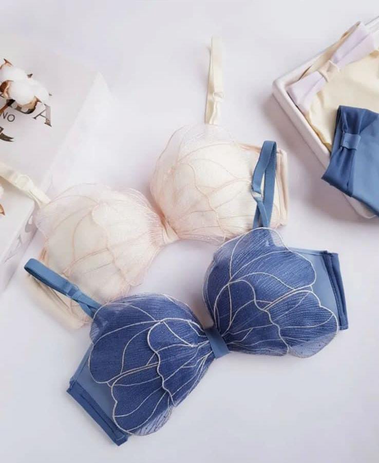 Imported Elegance Sweet Butterfly Style 🦋 Bra & Panty Set – Soft Padded