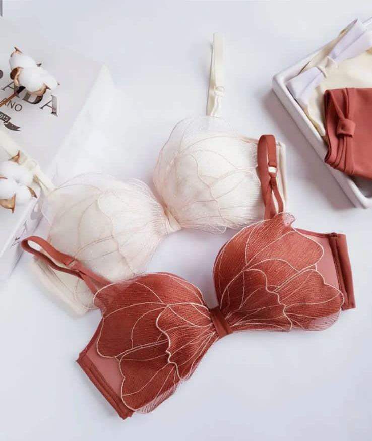 Imported Elegance Sweet Butterfly Style 🦋 Bra & Panty Set – Soft Padded